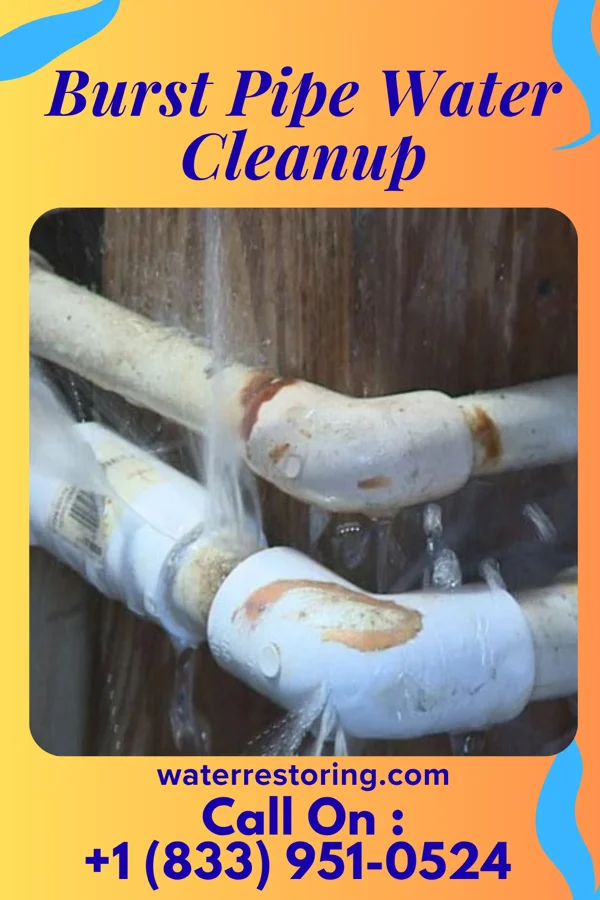 Burst Pipe Water Cleanup in Amaya, TX