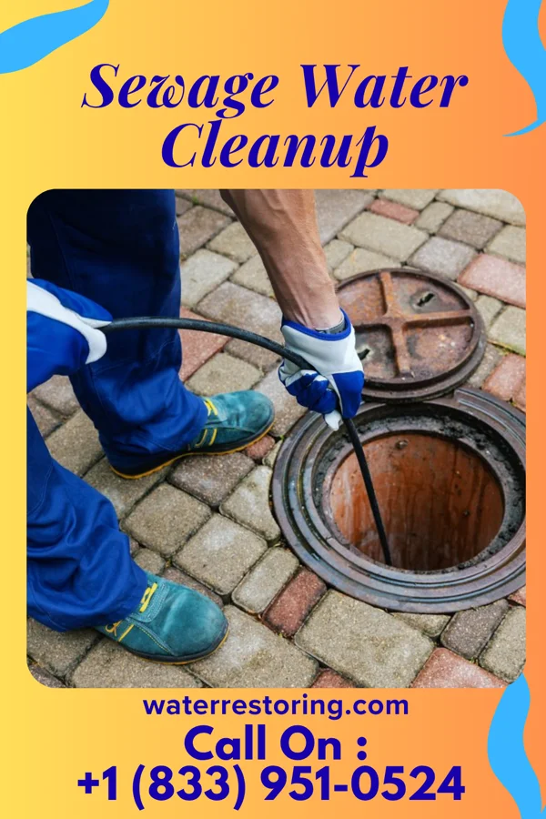 Sewage Water Cleanup in Amaya, TX